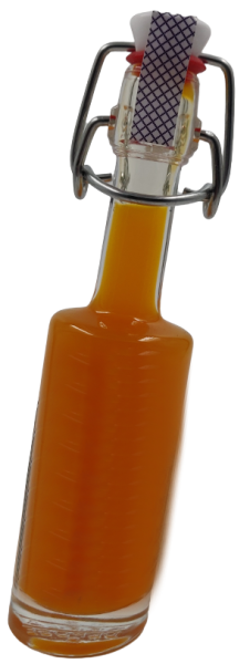 Flasche Bounty 40ml Sanddornlik&ouml;r 17% Blanko