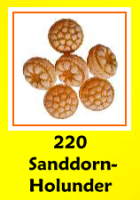 Sanddorn Holunder 125g