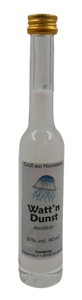 Flasche Platina 40ml Anislik&ouml;r