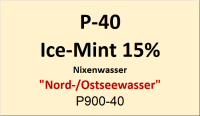 Flasche Platina 40ml Ice-Mint-Lik&ouml;r