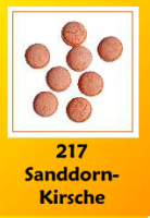 Sanddorn Kirsche 125g