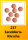 Sanddorn Kirsche 125g
