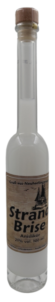 Flasche Platina 100ml Anislik&ouml;r