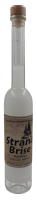 Flasche Platina 100ml Anislik&ouml;r