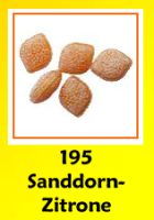 Sanddorn Zitrone 125g